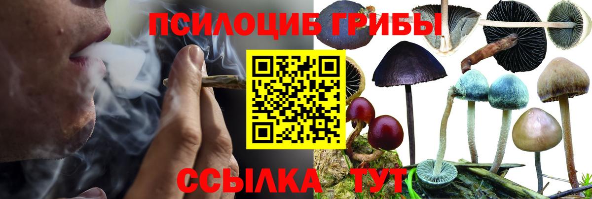 Галлюциногенные грибы мухоморы  Вход с VPN  Звенигород  Галлюциногенные грибы мухоморы 