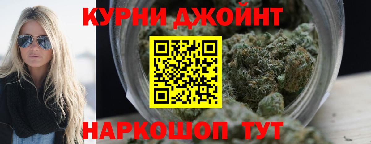 Конопля ГИДРОПОН  Каннабис OG Kush  Звенигород  Вход с VPN  МАРИХУАНА OG Kush 